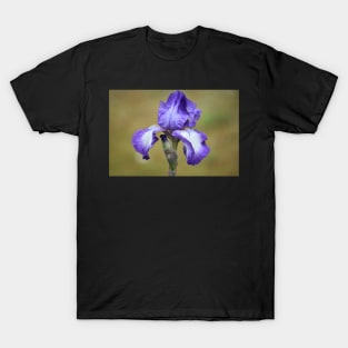 Iris T-Shirt